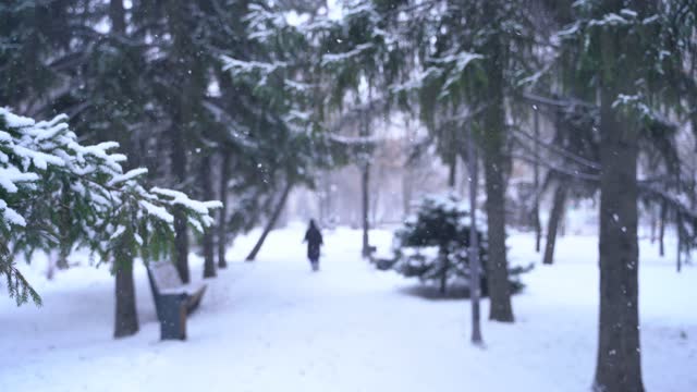 Snowfall in the city park, silhouette of a woman walking forward