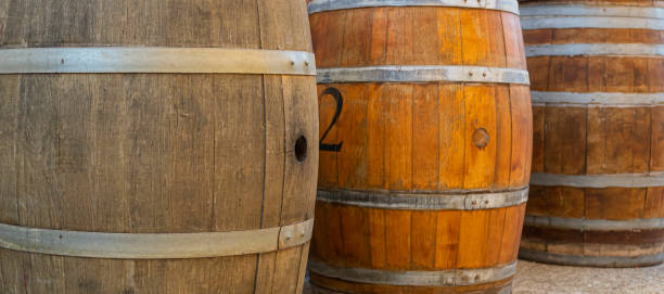 istock Horizontal vignette with wooden barrels for storing wine in a cellar 1458810279