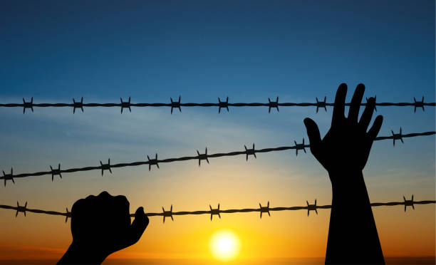 internationaler holocaust-gedenktag - barbed wire wire war prison stock-grafiken, -clipart, -cartoons und -symbole