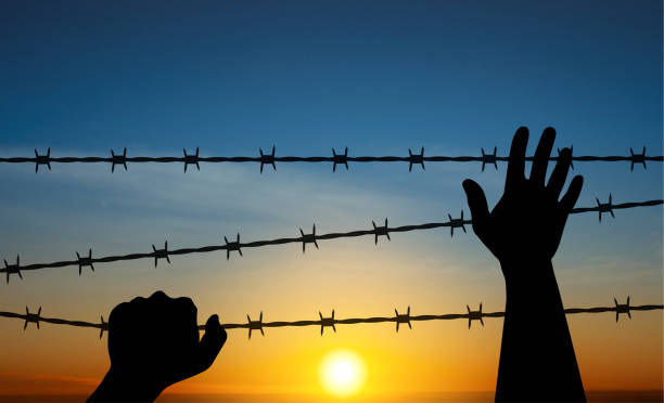 International Holocaust Remembrance Day International Holocaust Remembrance Day. Silhouette of hand with barber wire on a sunset. January 27. EPS10 vector nazism stock illustrations
