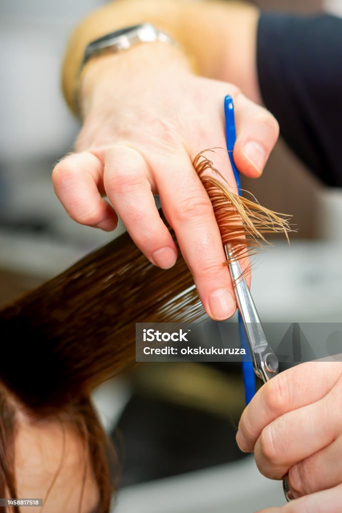 Cabeleireiro divide o cabelo feminino em seções com o pente segurando o  cabelo com as mãos em salão de cabeleireiro close-up.