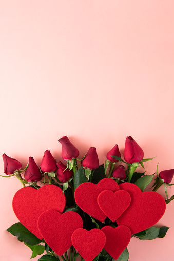 Red roses on pink background with copy space for Valentine’s and Mother’s Day concept