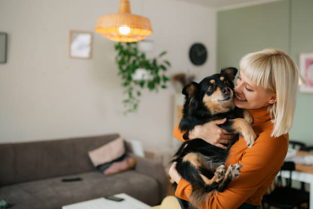 Cheerful blond woman spending time with her pet dog at home stock photo