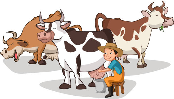 Cartoon Farmer Milking Cow Stock Illustration - Download Image Now -  Animal, Bucket, Cartoon - iStock