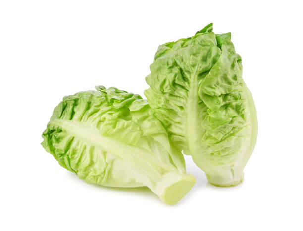 istock Fresh green cos lettuce isolated on white 1458827376