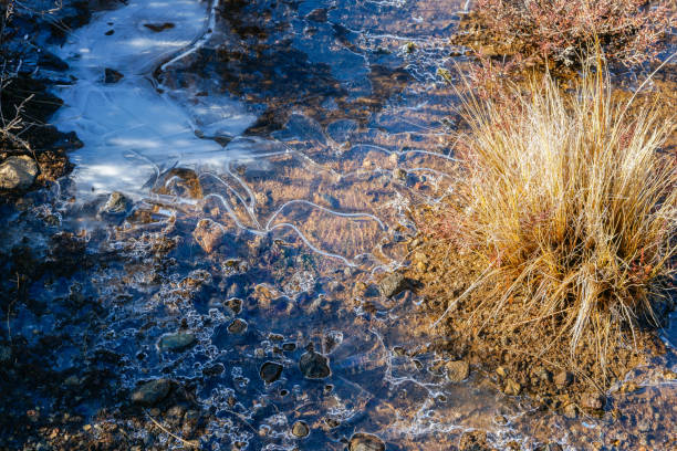 istock Icy puddle in landscape surrounded by alpine tussock with Mount Ngauruhoe behind. 1458828241