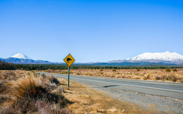 istock Mount Ruapehu snow capped under blue sky in wide landscape 1458828630