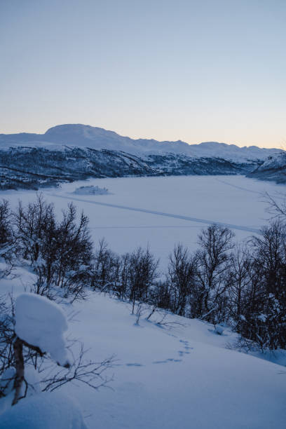 テレマルクの冬の風景 - telemark skiing ストックフォトと画像