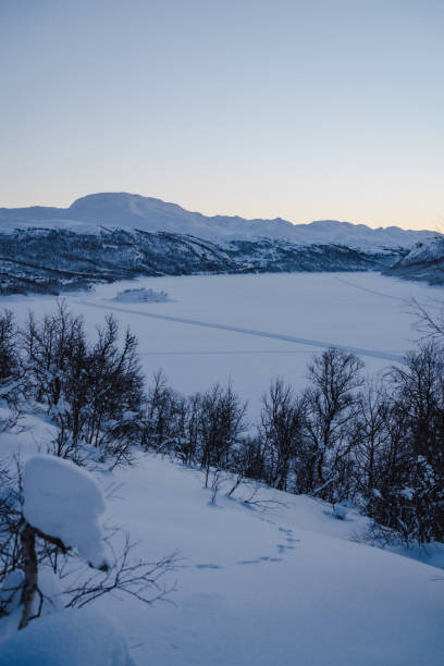 winter landscape in telemark - telemark skiing fotos imagens e fotografias de stock
