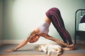woman doing yoga at home next to her pet cat