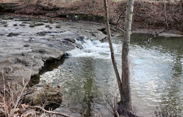 istock Flowing Water in the Creek 1458839829