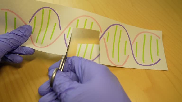 Hand cutting a part of a DNA molecule. Genetic engineering and gene manipulation concept.