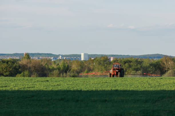 istock Tractor spraying pesticides on field with sprayer at spring 1458841698