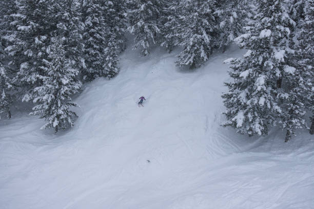 istock Skier making a turn on a powder day 1458845261