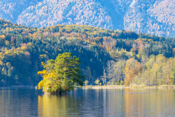 Mountain lake on the edge of the Bavarian Alps. stock photo