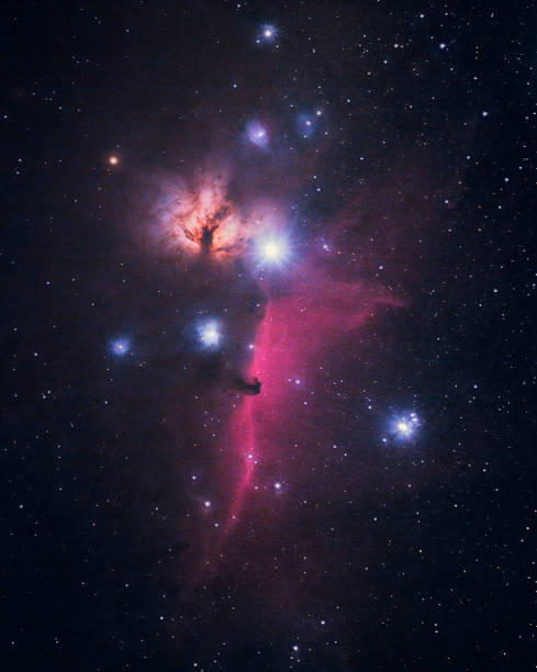 mgławice koński i płomień ic434 i ngc2024 - horsehead nebula zdjęcia i obrazy z banku zdjęć