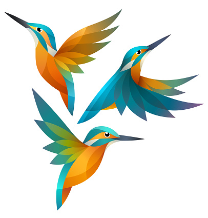 Stylized Birds - Kingfisher