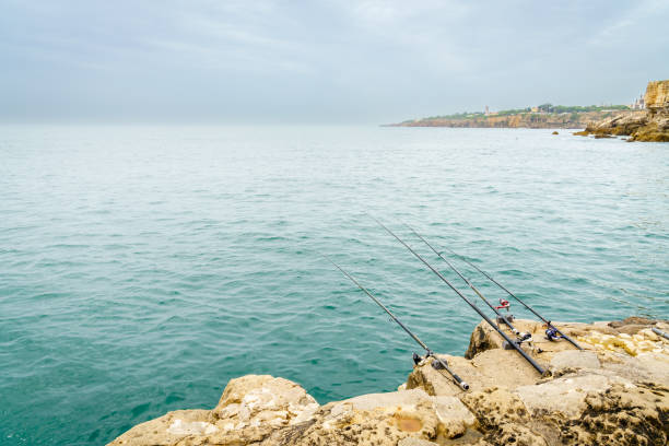 istock Fishing in Cascais 1458848076