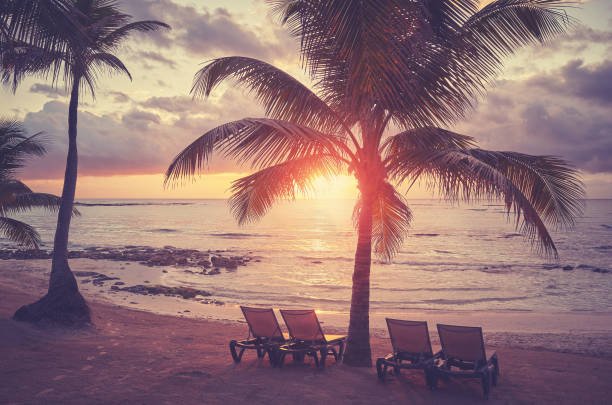 istock Tropical beach with coconut palm trees at sunset 1458853267