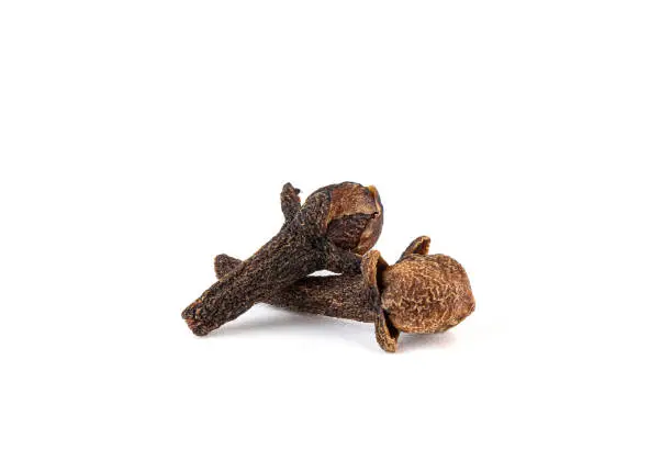 Cloves are the dried unopened buds of the tropical clove tree Syzygium aromaticum. White background, copy space.