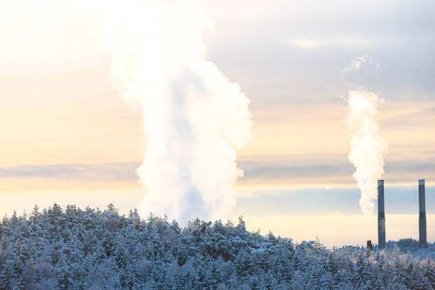 Steam rising from industry behind winter forest