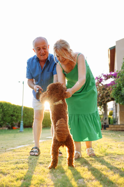 istock Senior Couple Taking Dog For Walk In Backyard 1458858185