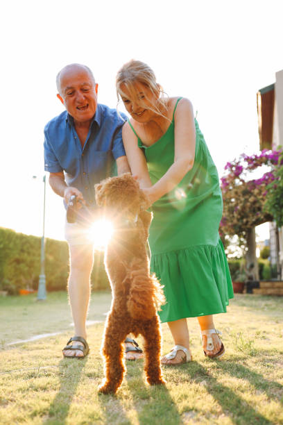 istock Senior Couple Taking Dog For Walk In Backyard 1458858428