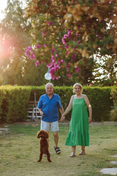 istock Senior Couple Taking Dog For Walk In Backyard 1458858776