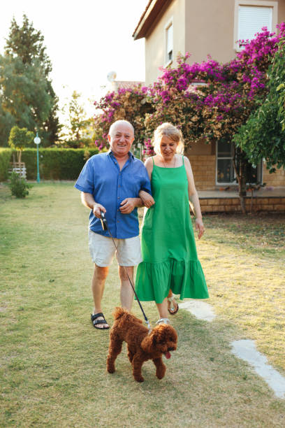 istock Senior Couple Taking Dog For Walk In Backyard 1458860292