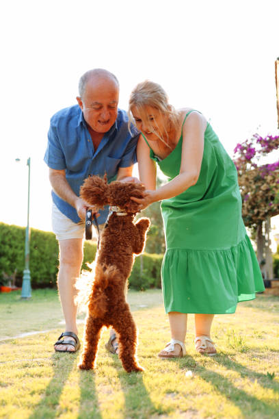 istock Senior Couple Taking Dog For Walk In Backyard 1458860344