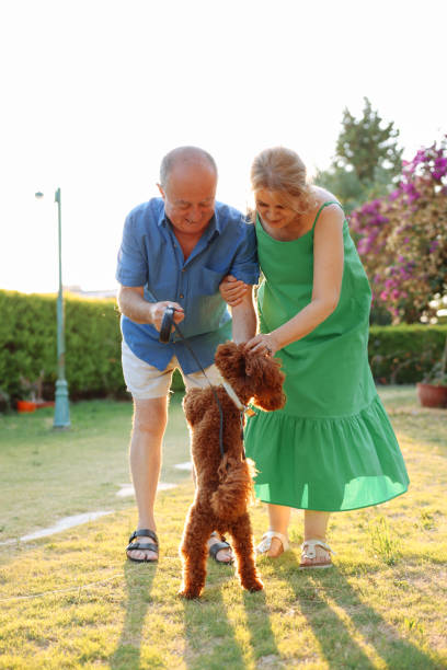 istock Senior Couple Taking Dog For Walk In Backyard 1458860407