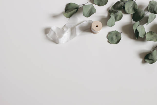 istock Dry eucalyptus tree leaves, branches and silk ribbon isolated on white table background. Green trendy foliage. Minimal floral composition, decorative frame. Wedding flat lay, top view. Web banner. 1458863028