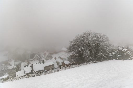 Beautiful winter landscape, trees covered with snow, houses in thick fog
