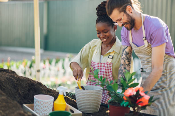 istock Multiracial couple transplanting flowers while working in a greenhouse 1458876503
