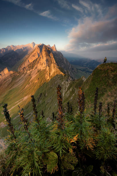 istock spectacular mountain formations of switzerland during sunrise 1458881987
