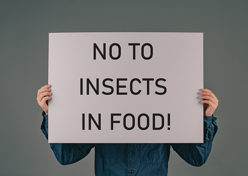No insects in food, new EU regualtion for ingredients in bread, pasta, chocolate, powder of cricket and beetle allowed