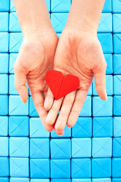 holding herz - human cardiovascular system heart shape human hand healthy lifestyle stock-fotos und bilder