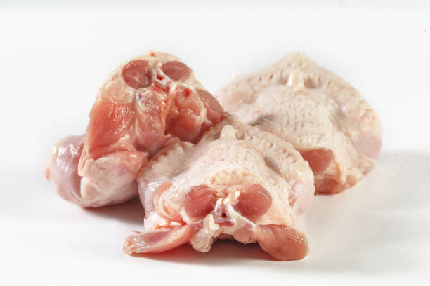 fresh turkey or poultry meat isolated on white background