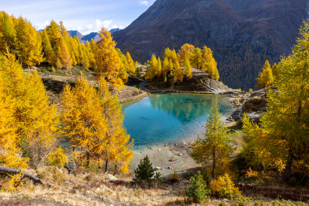 istock Blue alpine lake in autumn 1458900914