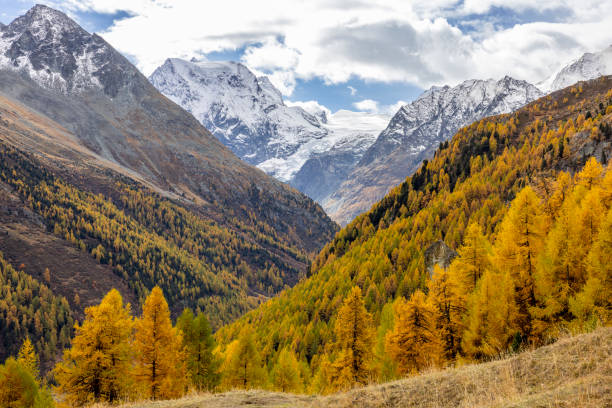 istock Swiss alpine landscape in autumn 1458900936