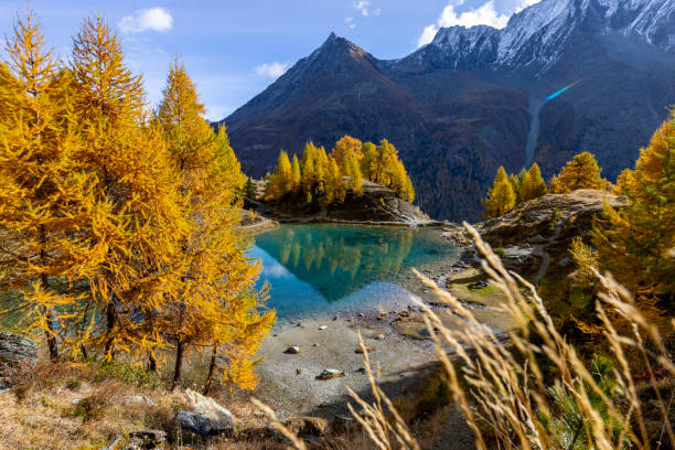 istock Blue alpine lake in autumn 1458900952