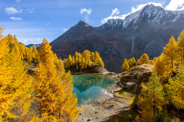 istock Blue alpine lake in autumn 1458901004