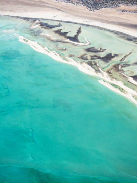 istock Abstract aerial of coastline 1458903027