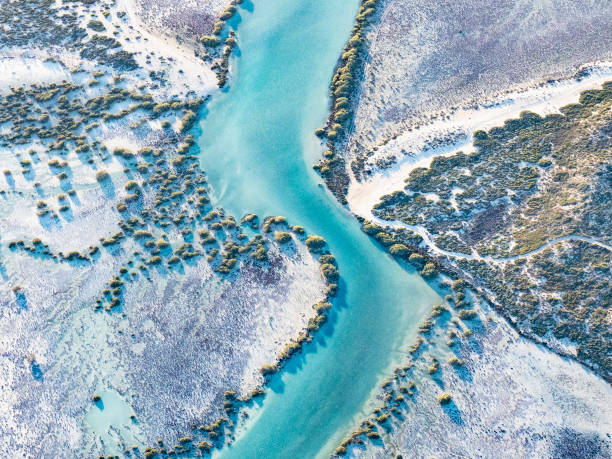 istock Abstract aerial of coastline 1458903241