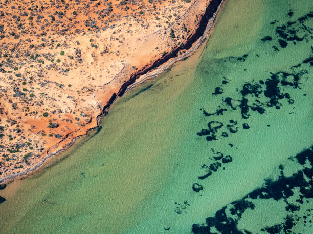 istock Aerial abstract of remote beautiful coastline 1458903277