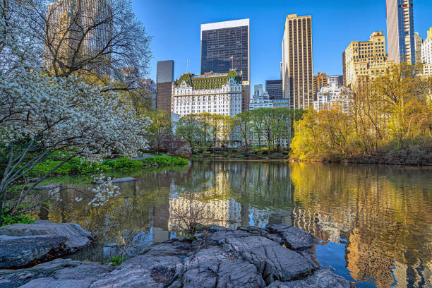 Central Park, New York City at the lake stock photo