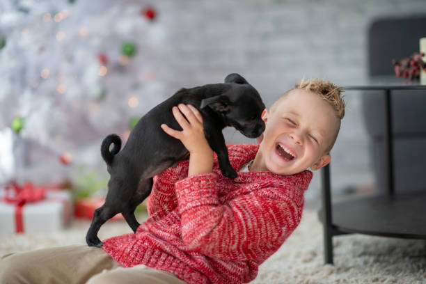 istock Christmas Puppy Kisses 1458906825