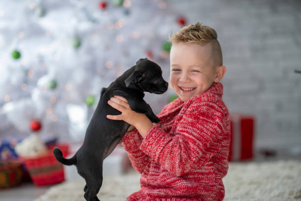 istock Christmas Puppy Kisses 1458906828