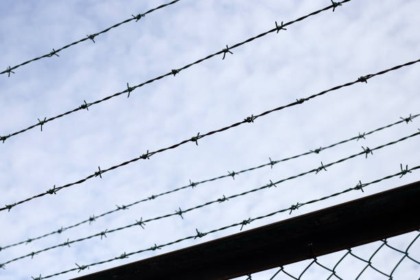 istock Barbed wires against blue sky. Wired fence 1458910274