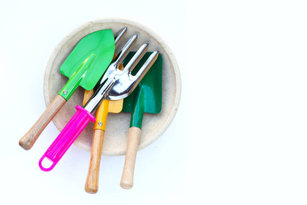 istock Garden shovel with fork on white background. Garden tools 1458911599